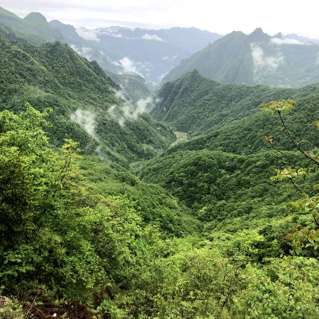 奉节小岩我做的一切