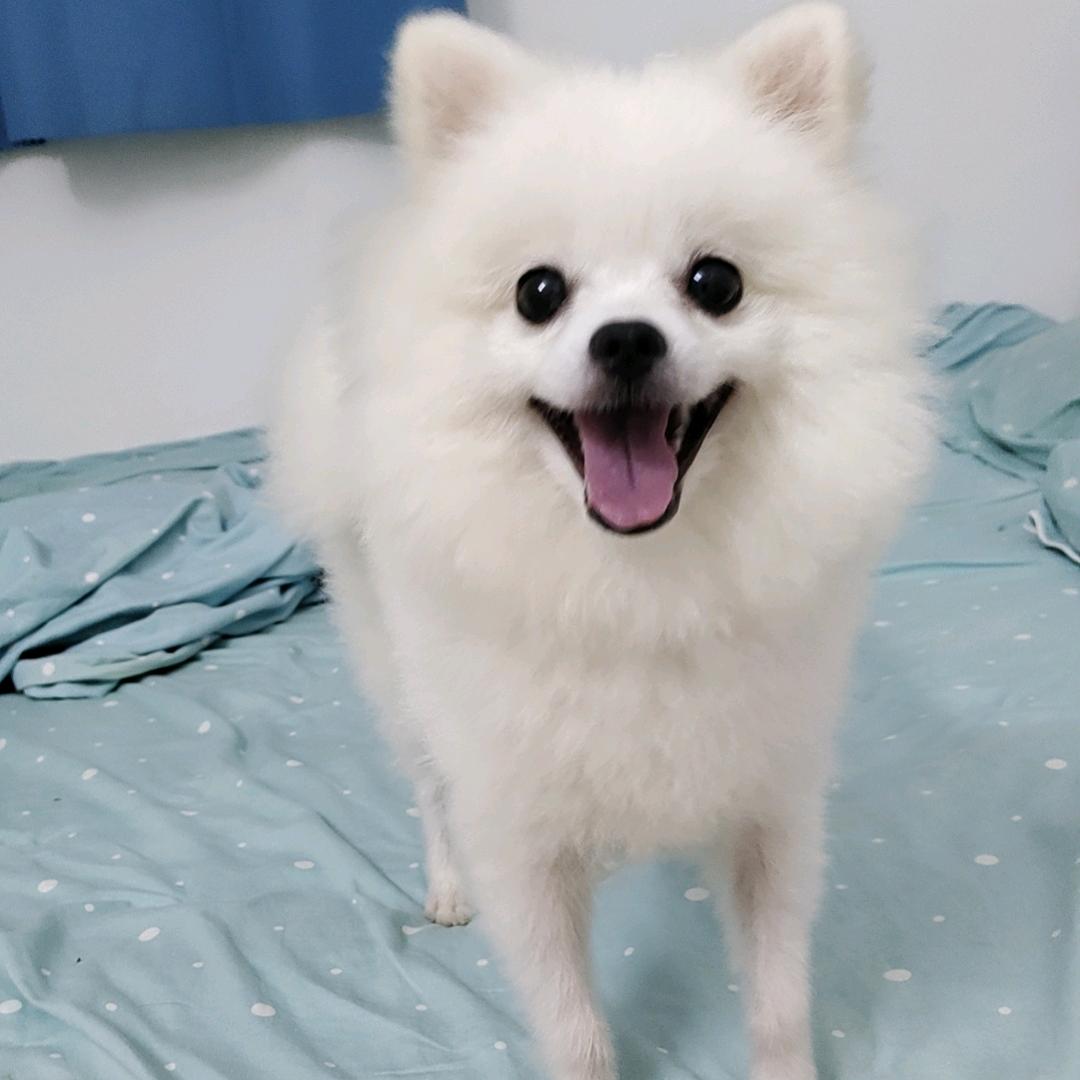 天冷：公主：请加衣