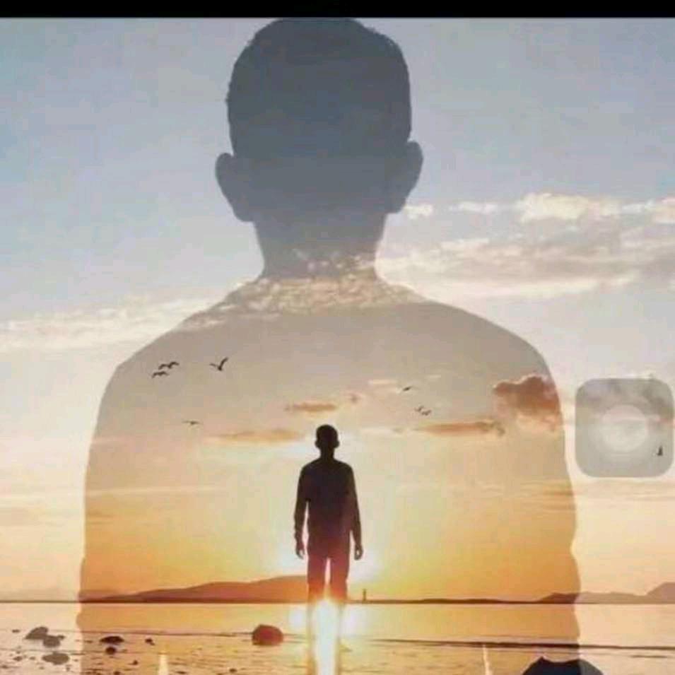 正能量nl
