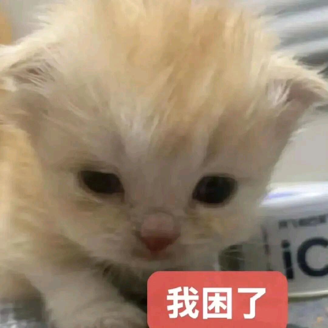 奶茶被偷之骑手你为什么要偷我奶茶