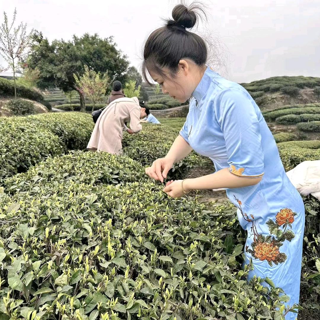 八马茶业重庆天地店