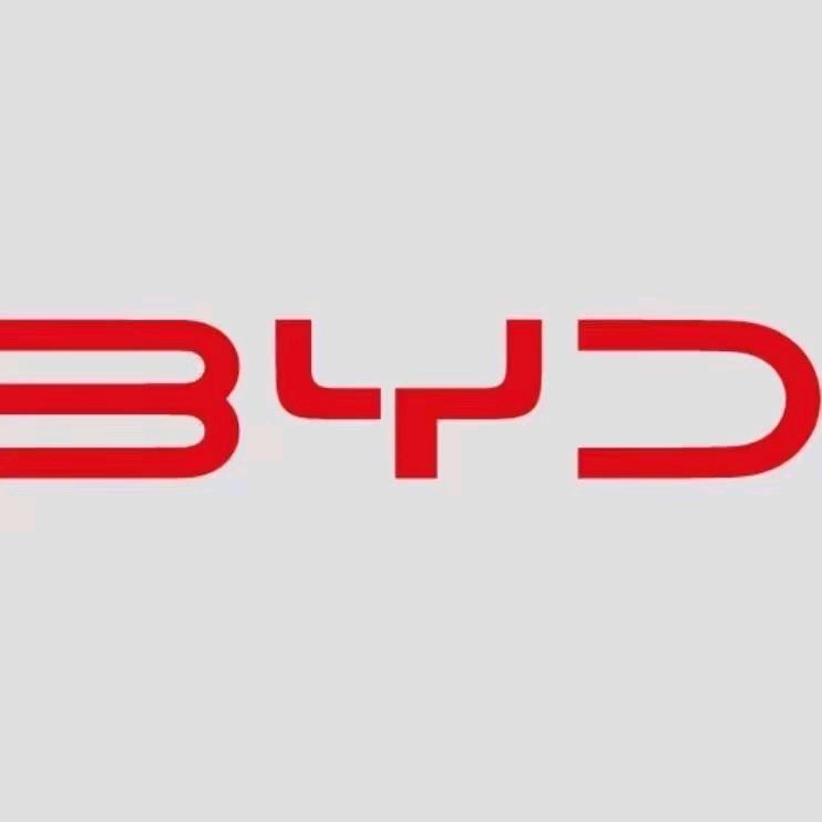 比亚迪汽车王朝网(石首建宁大道城展店)