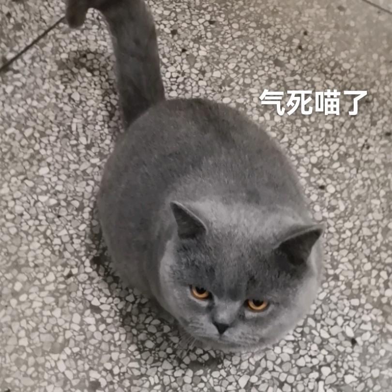 是等等吖