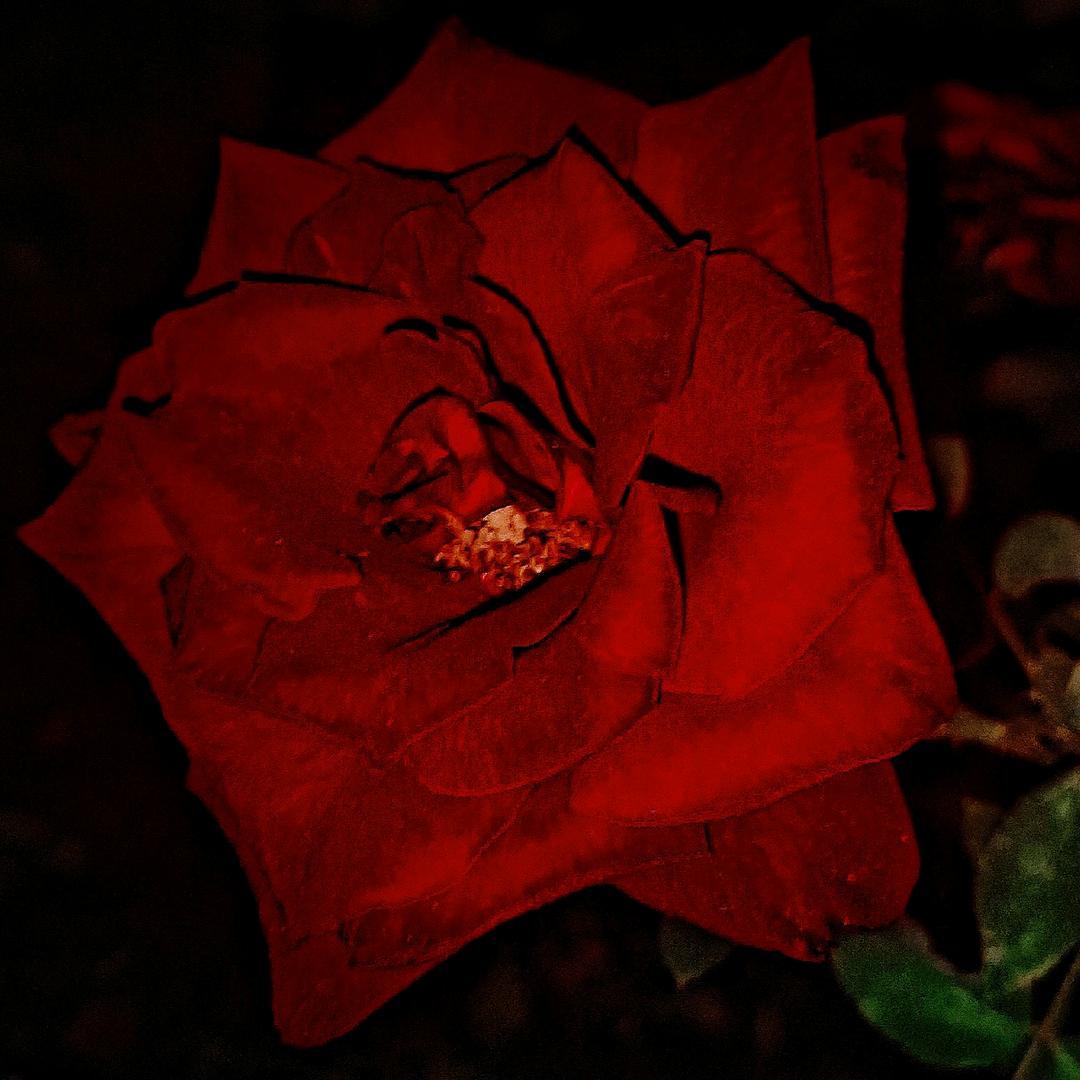 和你分手之后我再也不吃黄焖鸡了