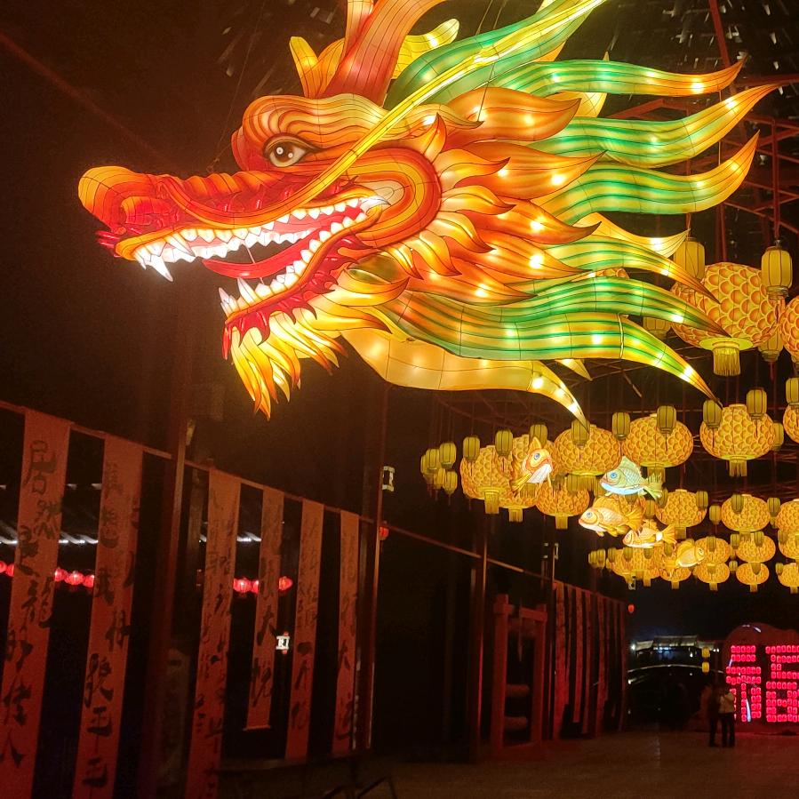 树欲静而风不止