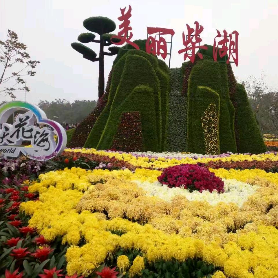 东方杨