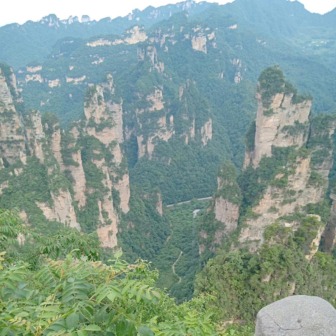 钱少少