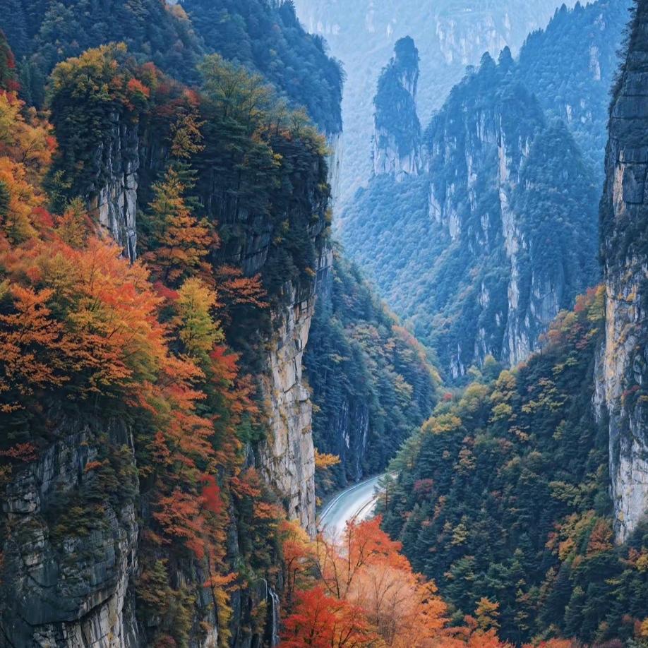古桥熹