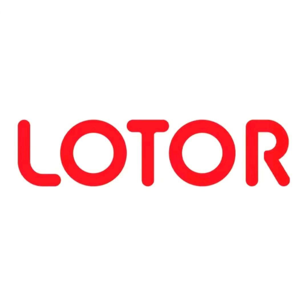 LOTOR智能电器旗舰店电炖锅电煮锅