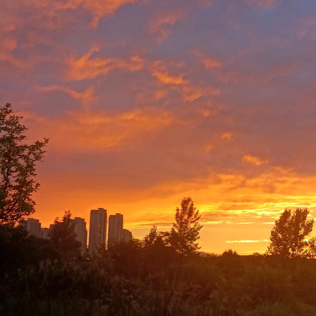 平安喜乐(凤姐)