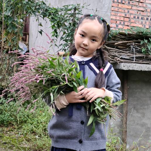 ༄༊࿆钟ོྂཾ࿆࿐