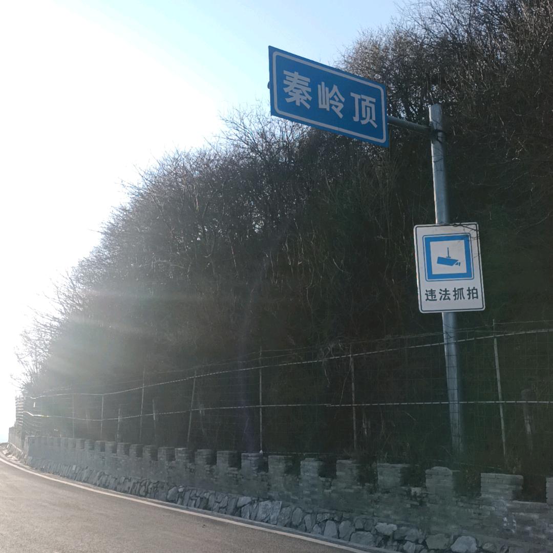 重来一次