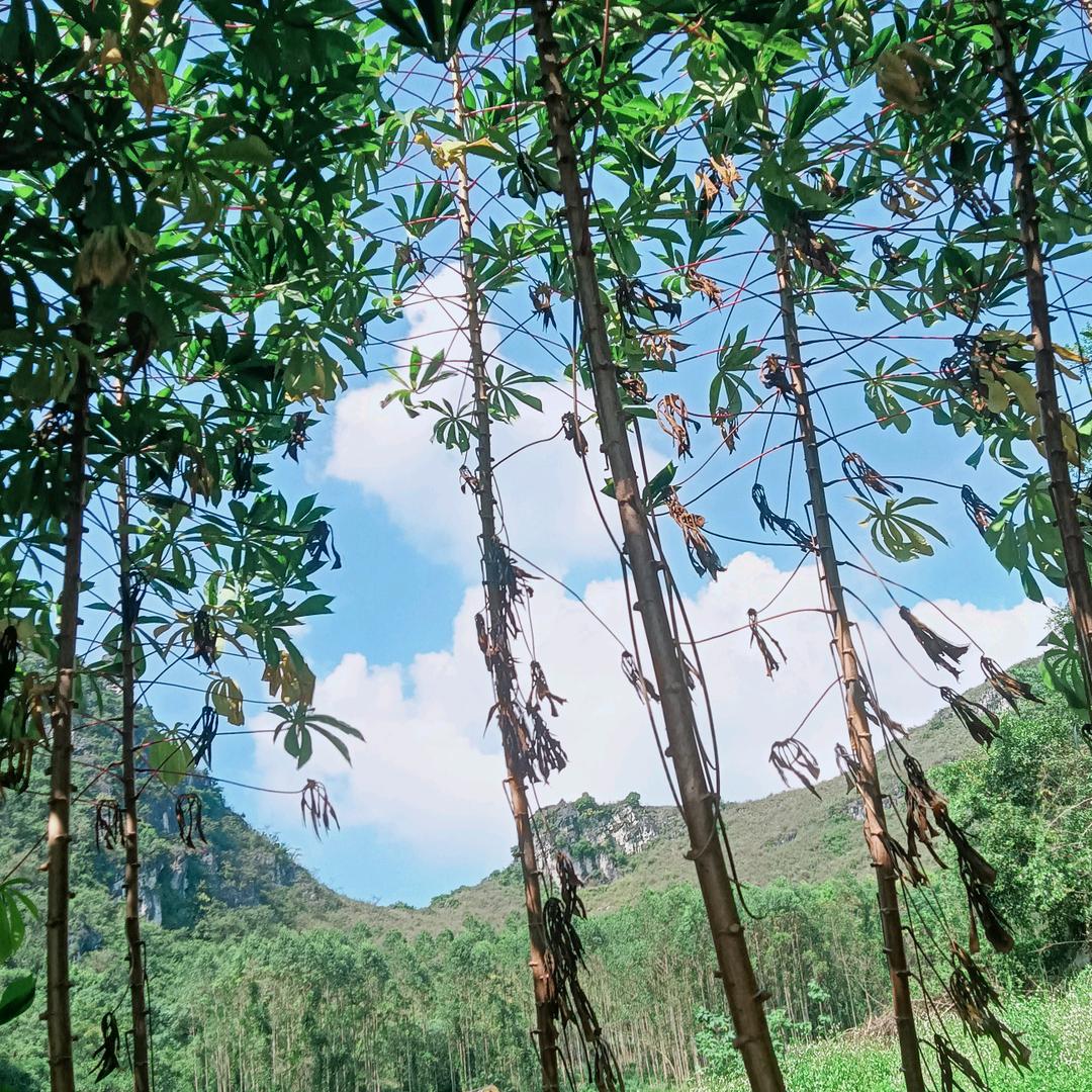 默默守护