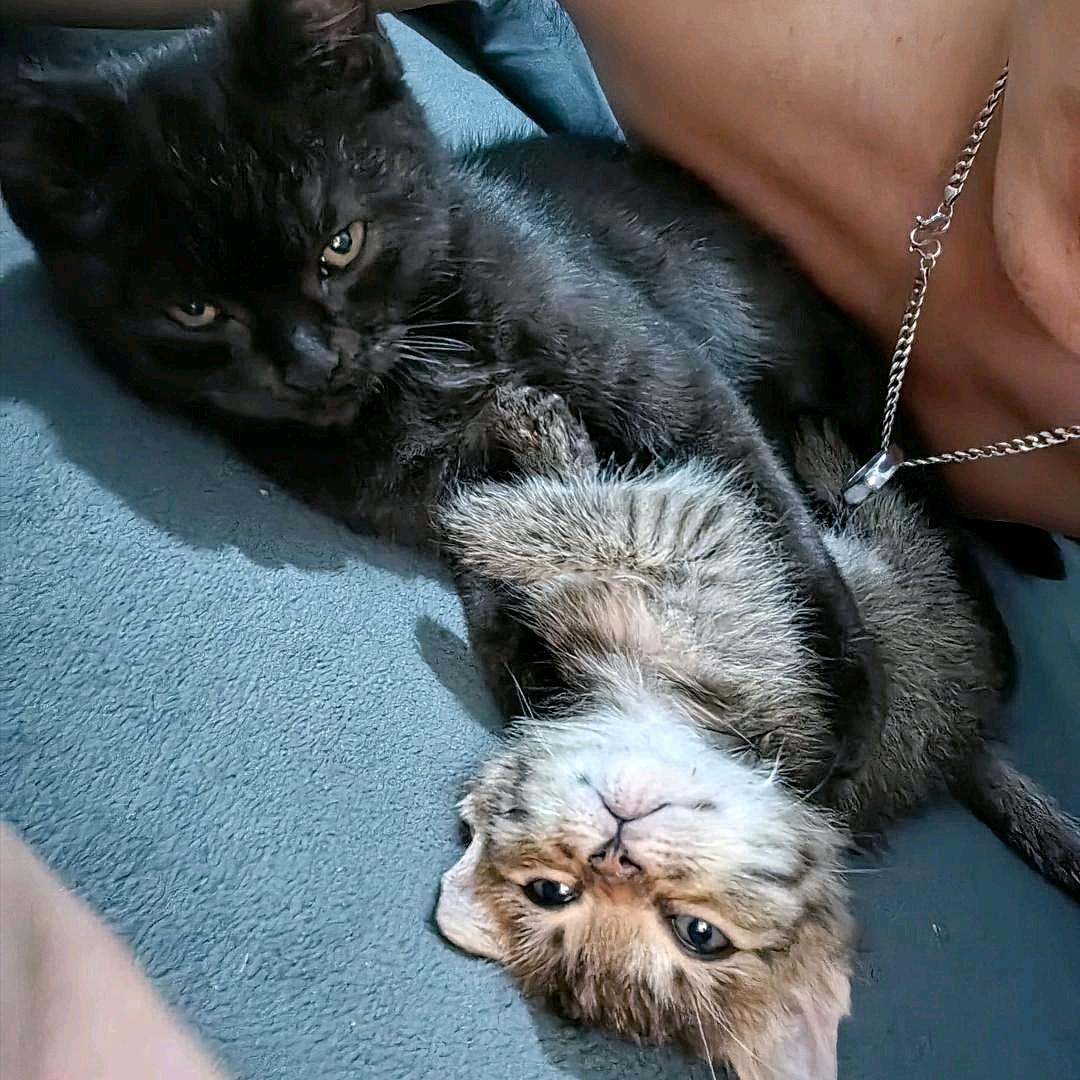 @王子🤴出驴琦