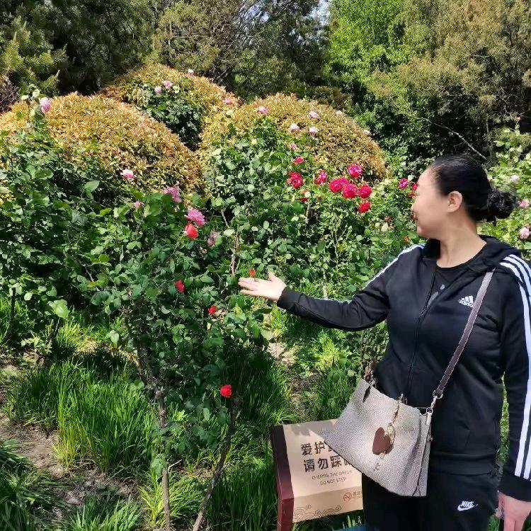 2026年！加油