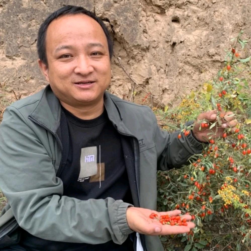 阿新甘肃土特产