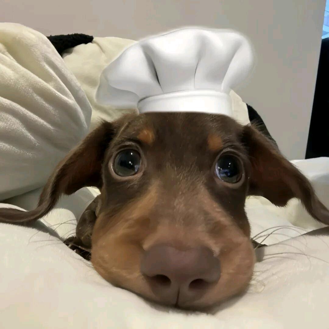 易童暖