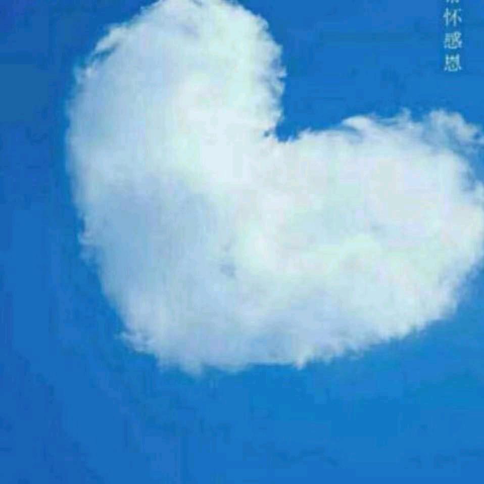 仙人掌💫💫天蝎