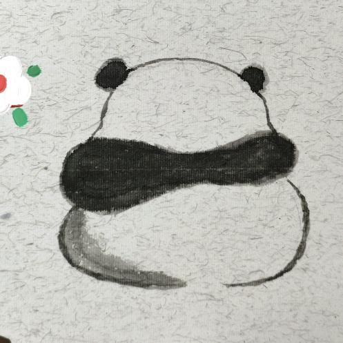 可可乐乐
