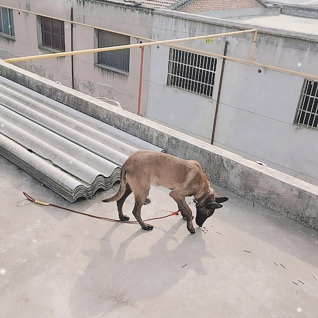 顺其自然