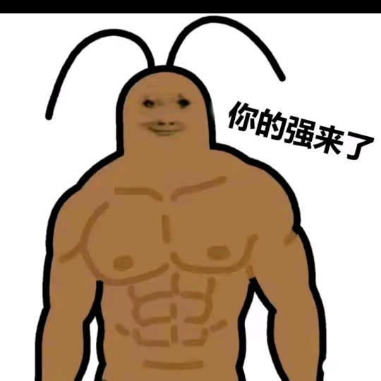 蟑螂恶霸哦可