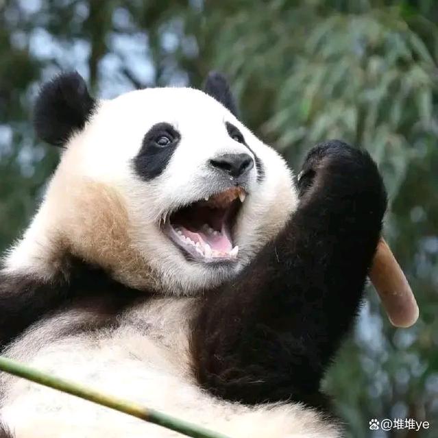 。刘