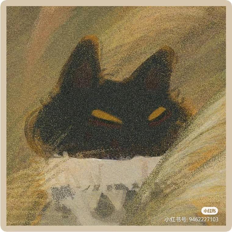 专业打灰抹面