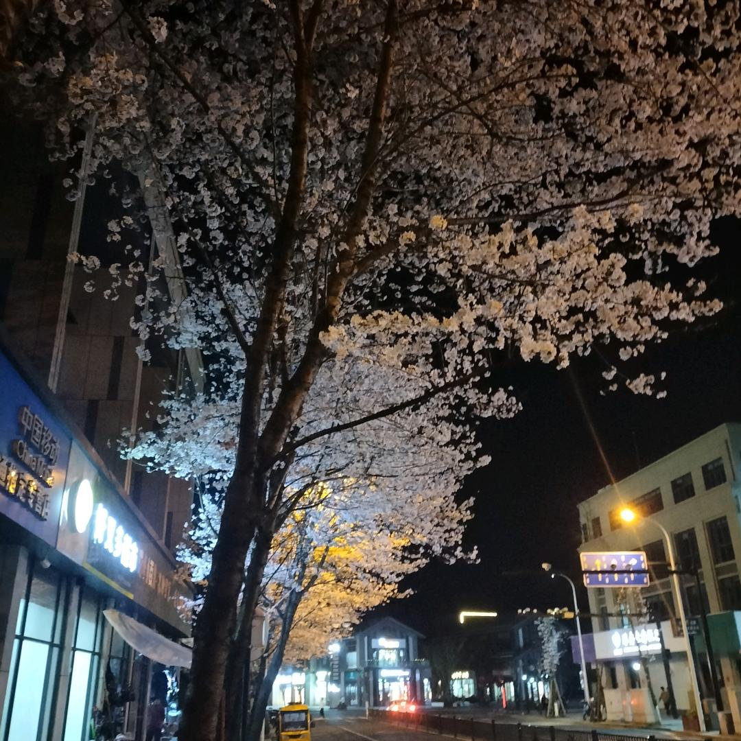 充满元气的难得影视