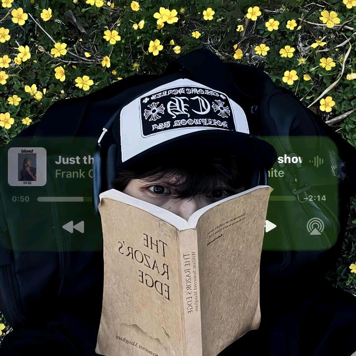 凛冰蕊