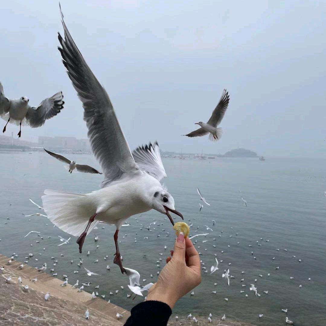水