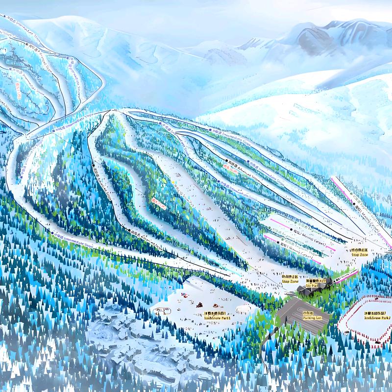 清爽新媒体双双