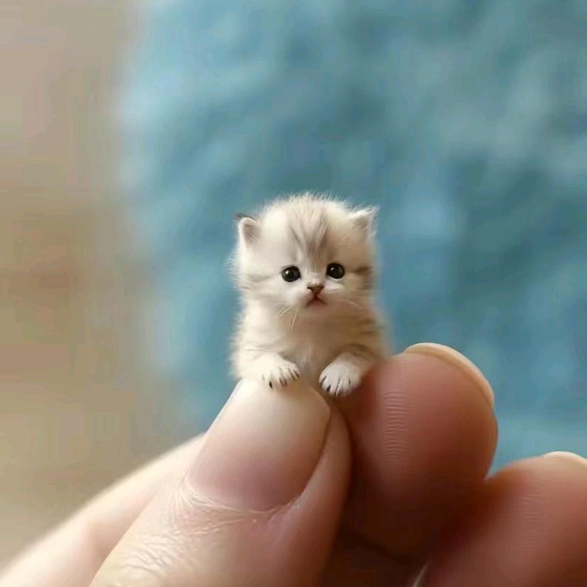 阴天里的阳光暖洋洋……拒绝连赞👍