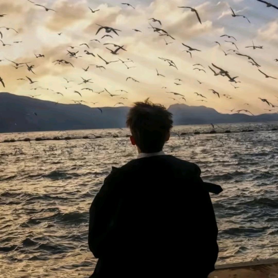 重理工学长（新生答疑版）