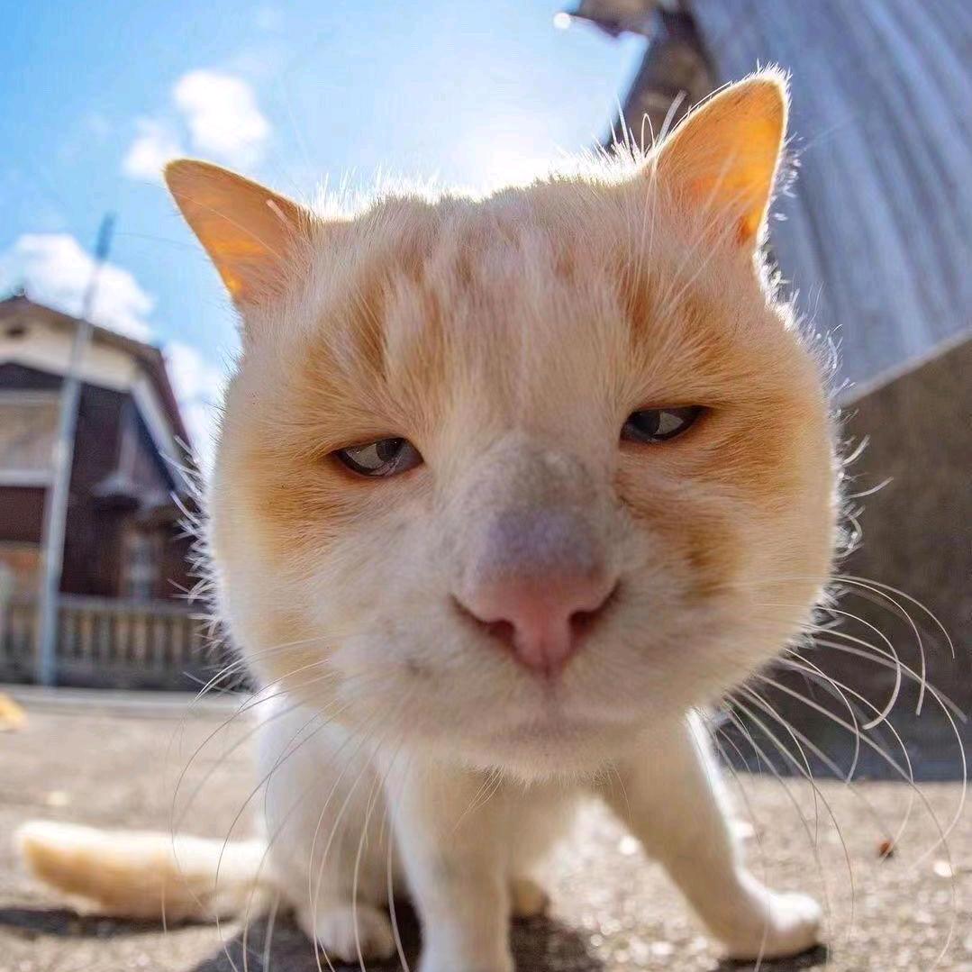 人间路窄酒杯宽