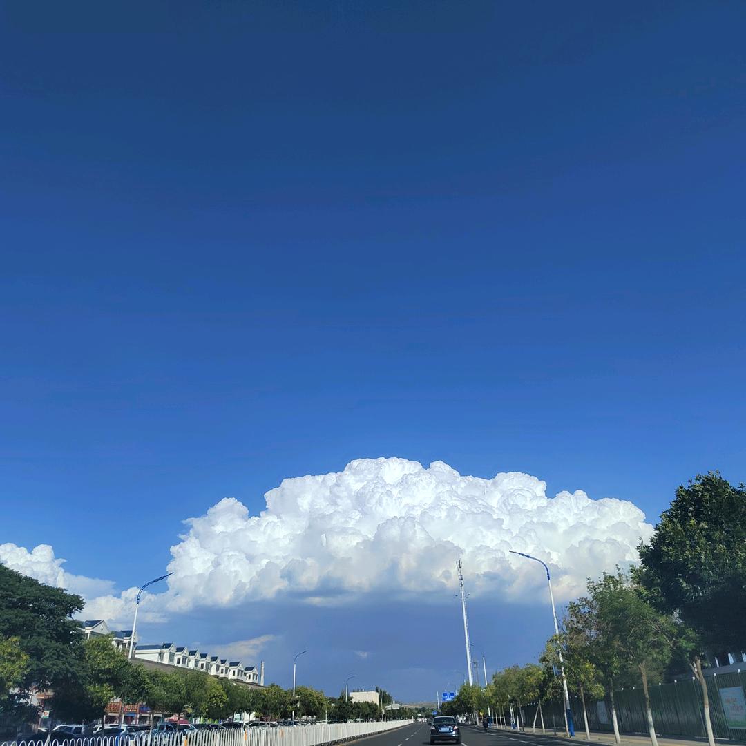 旅行者