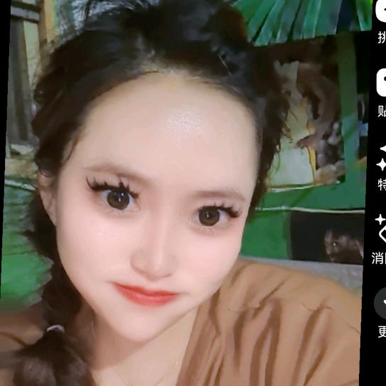 小叶