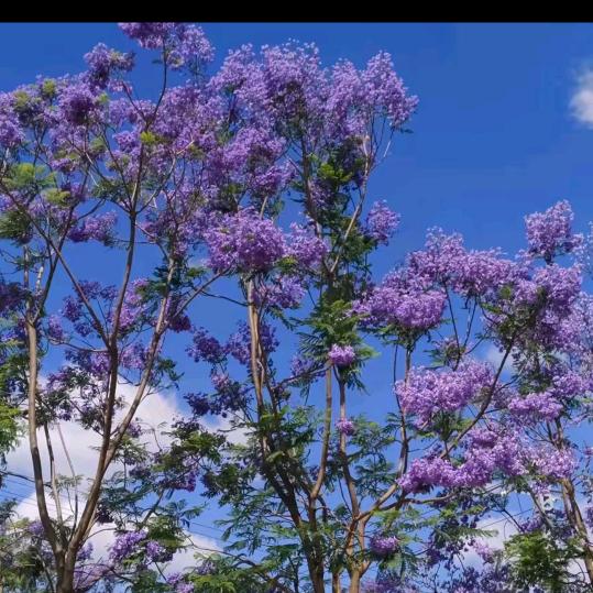 熟悉的陌生人🐏
