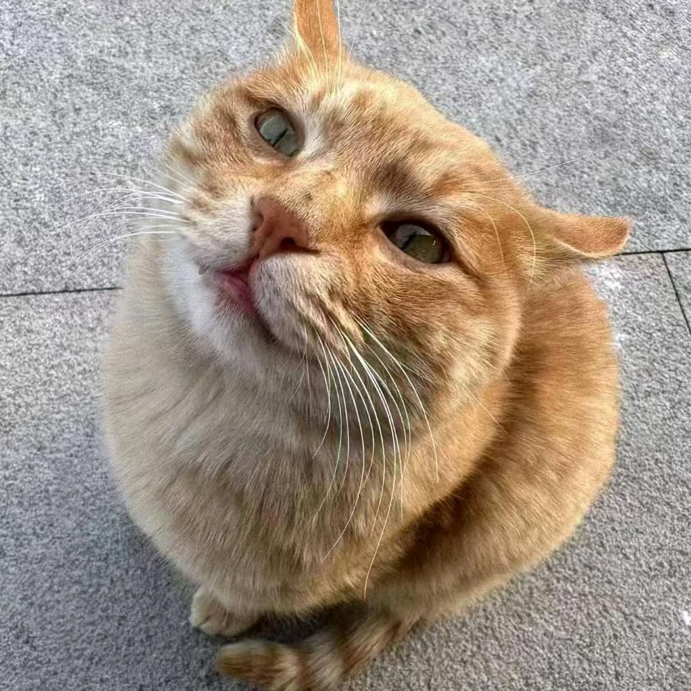 我就给三国杀充钱