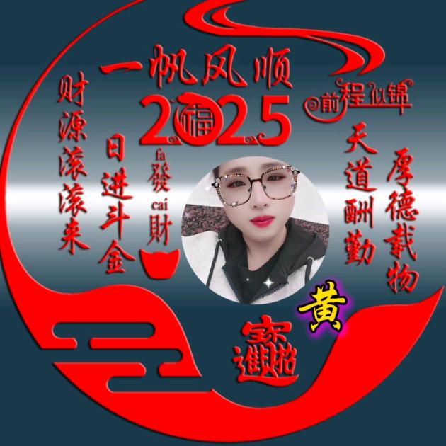凤凰飛翔
