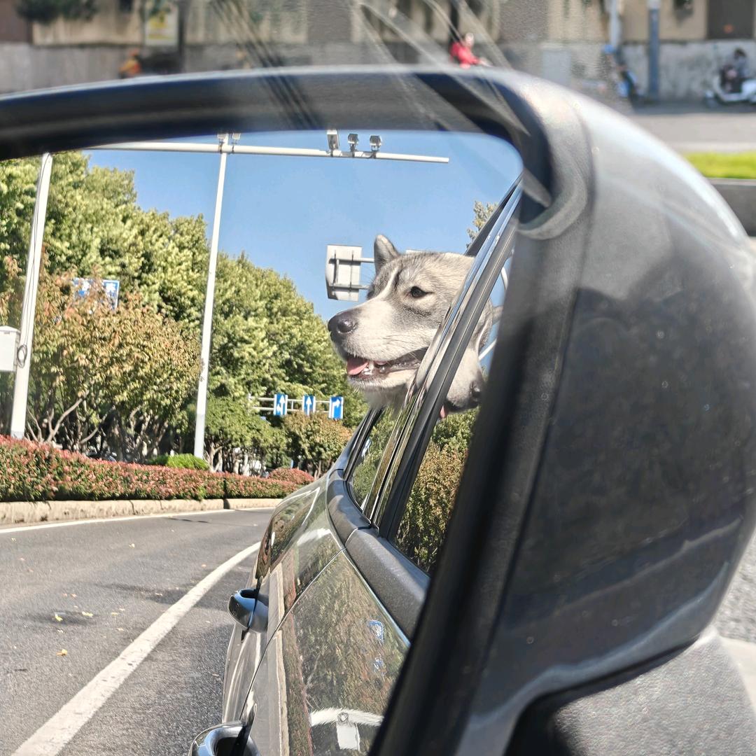 不发胖只发财*.。(๑･∀･๑)*.。