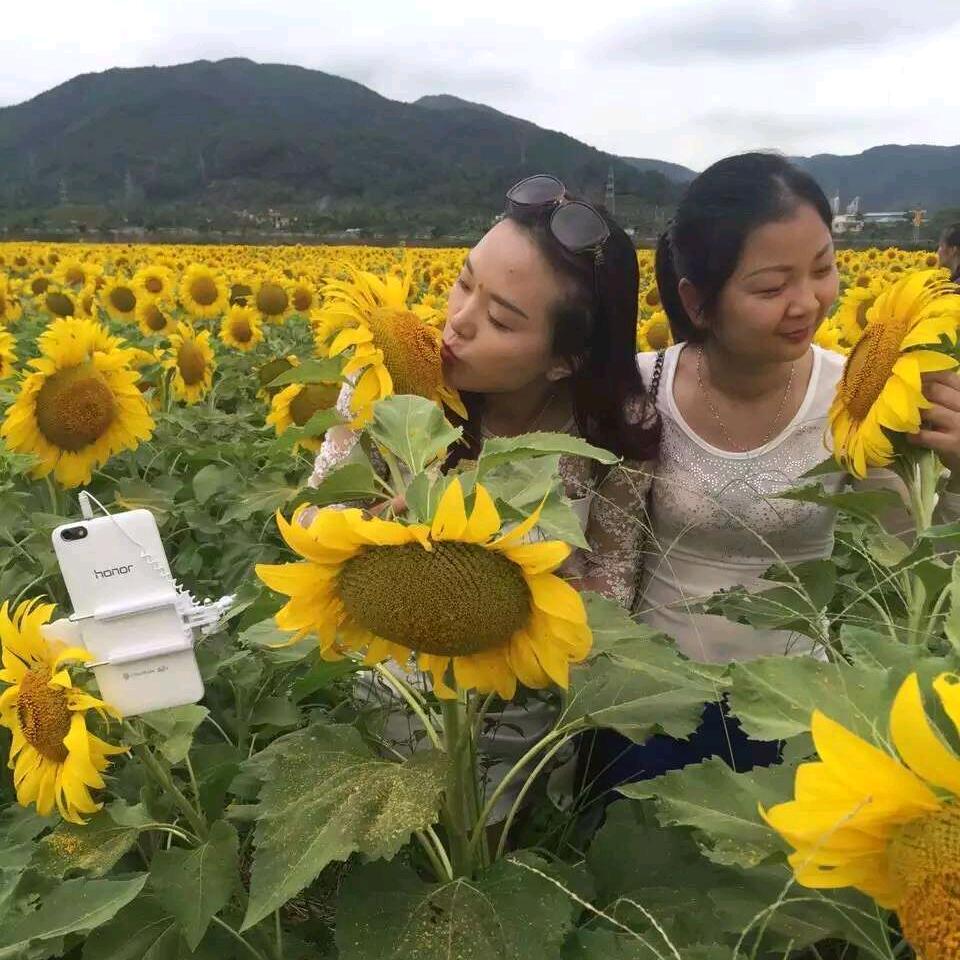 张紫涵