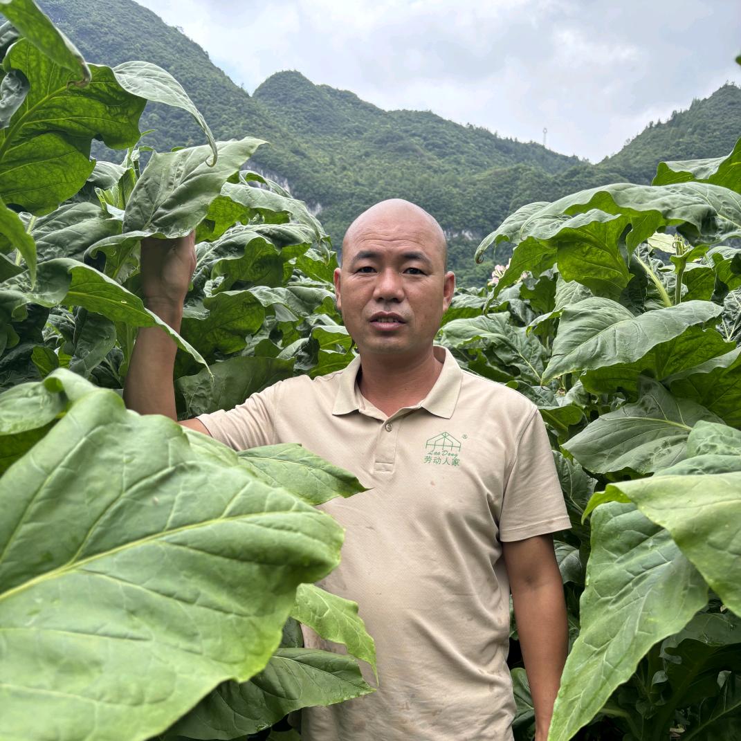 光头旺哥助农（齐朵朵大红甲）
