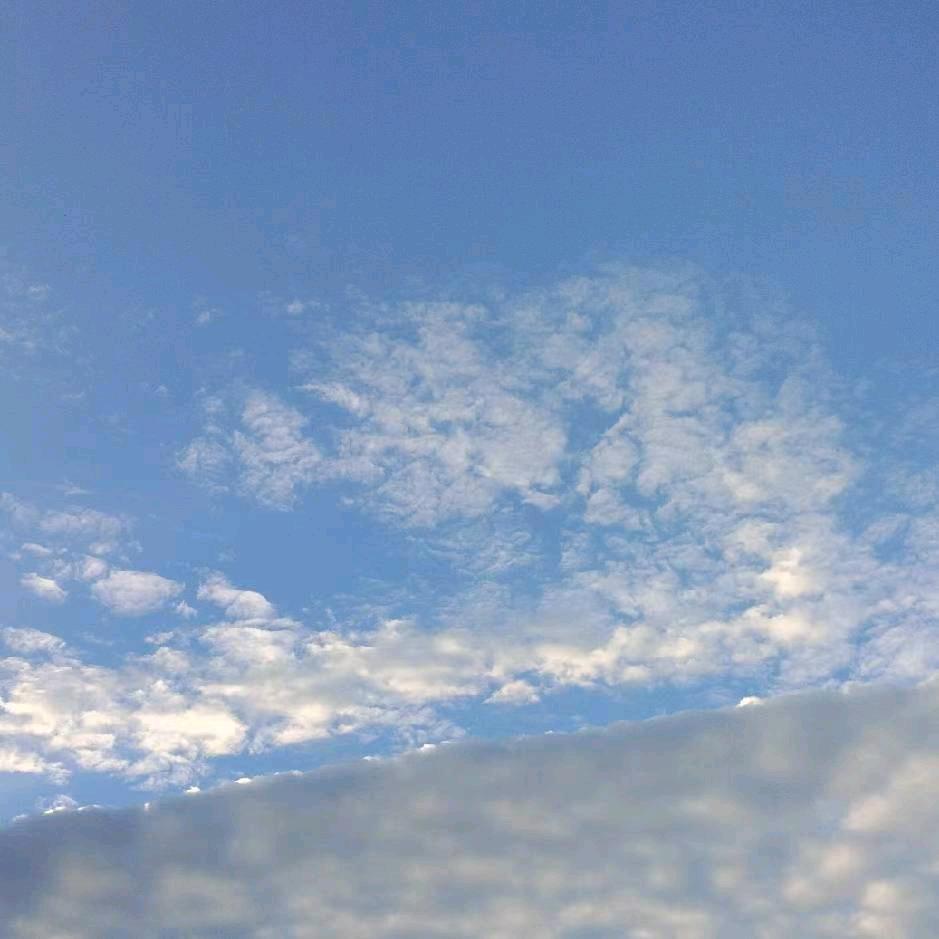 有你真好