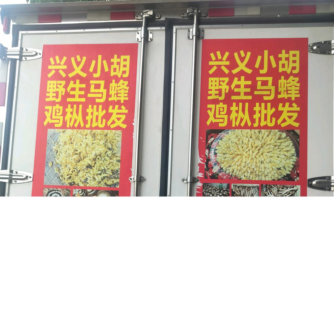 户外小胡