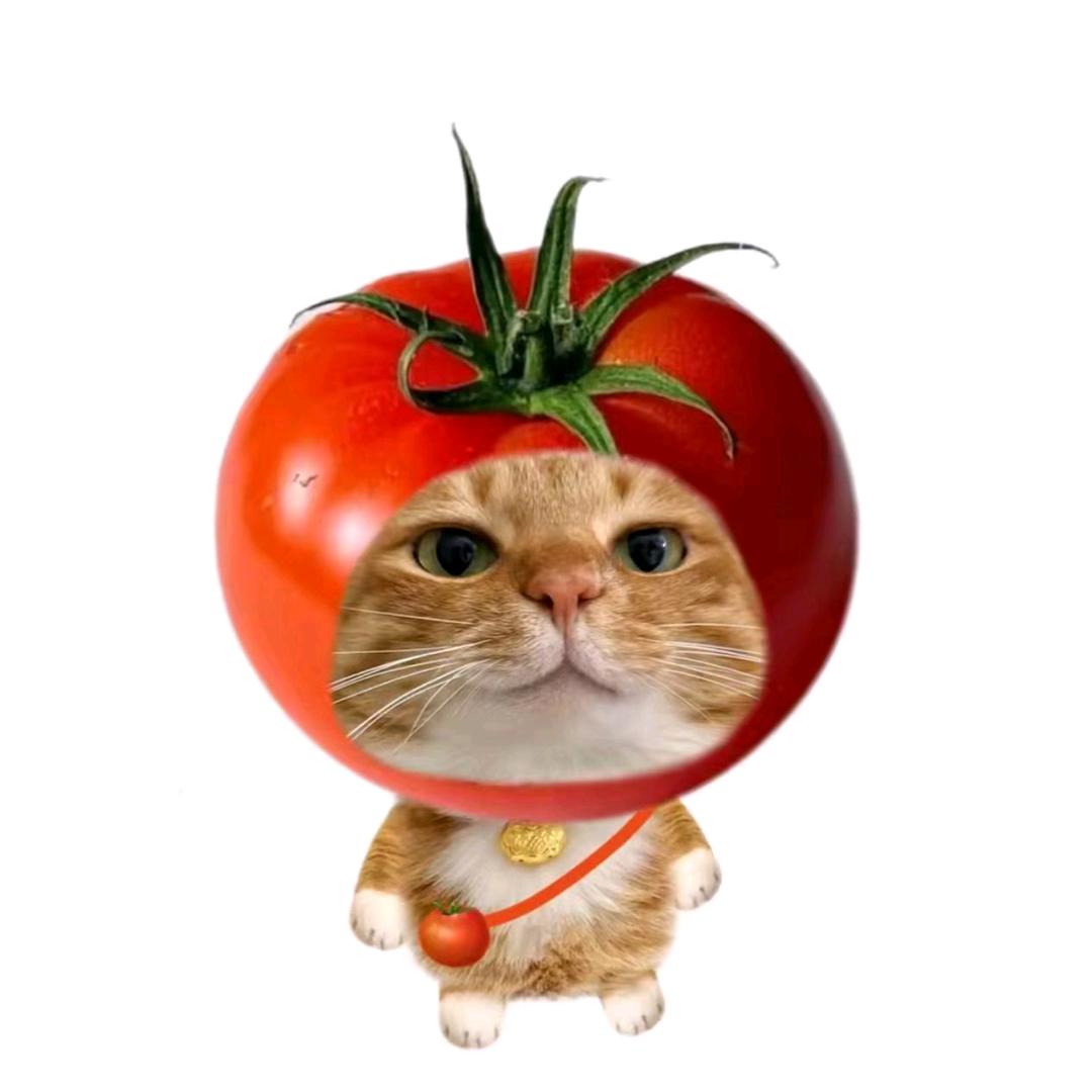 鱼翻
