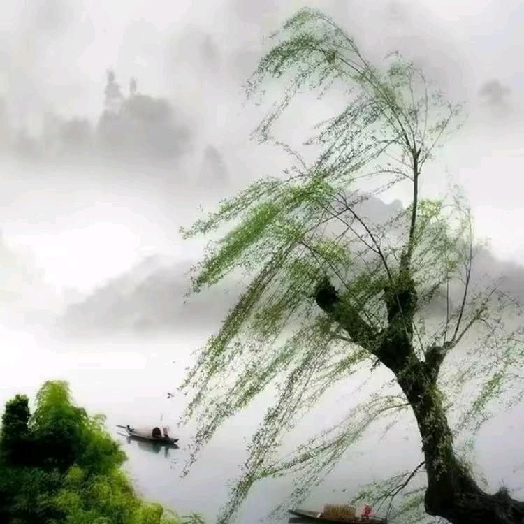 雾里看花