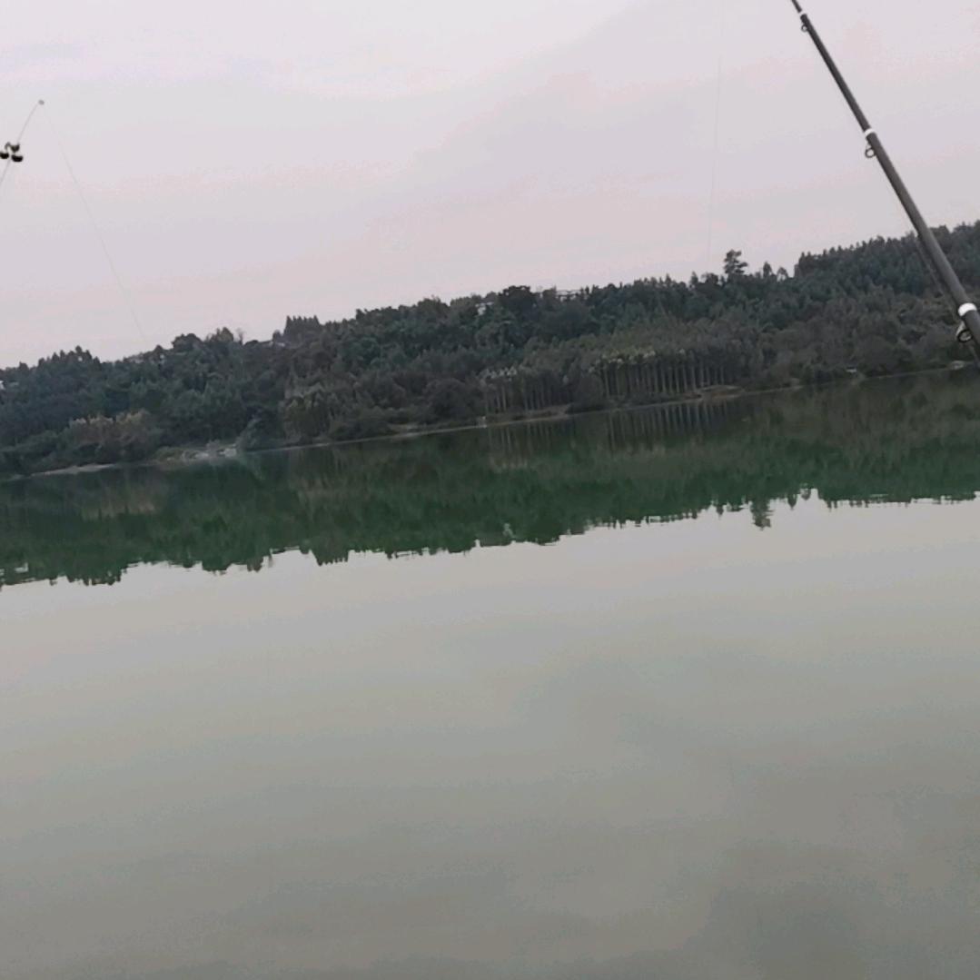 用户5339931159509