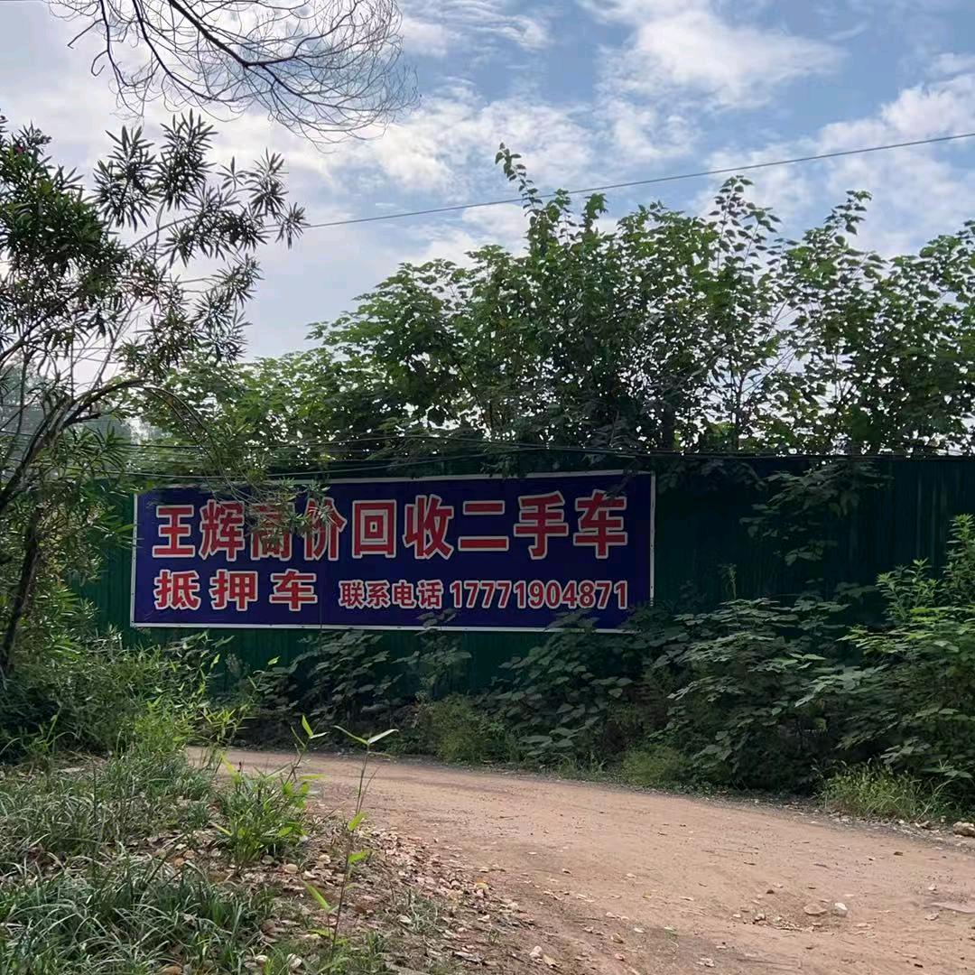 阳新乐东八场地