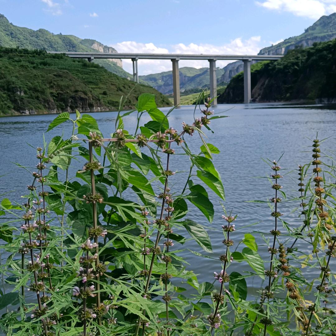 浪迹天涯