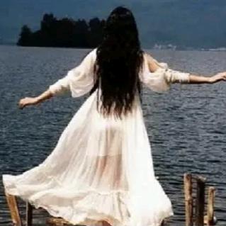 君荷斋书画艺术